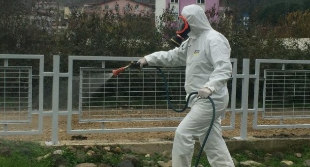 Haşere Mücadelesi veya Vektör Kontrolü Nedir?